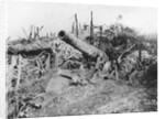 Offensive On The Somme. Abandoned German 150 Guns. by Anonymous