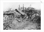 Offensive On The Somme. Abandoned German 150 Guns. by Anonymous