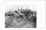 Offensive On The Somme. Abandoned German 150 Guns. by Anonymous