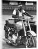 Motorcycle Chimp by Anonymous