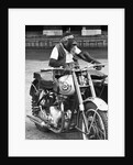 Motorcycle Chimp by Anonymous