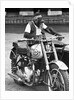 Motorcycle Chimp by Anonymous