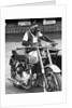 Motorcycle Chimp by Anonymous