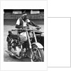 Motorcycle Chimp by Anonymous
