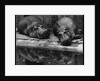 Two Hippos Rest by a Pool by Anonymous