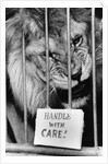 Circus Lion by Anonymous