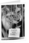 Circus Lion by Anonymous