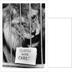 Circus Lion by Anonymous