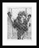 Caged Lion by Anonymous