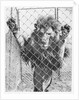Caged Lion by Anonymous