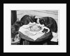 Cats' Celebratory Feast by Anonymous