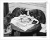 Cats' Celebratory Feast by Anonymous