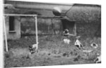 Dogs Playing Soccer by Anonymous
