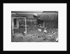 Dogs Playing Soccer by Anonymous