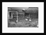 Dogs Playing Soccer by Anonymous