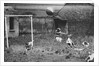 Dogs Playing Soccer by Anonymous