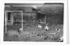 Dogs Playing Soccer by Anonymous