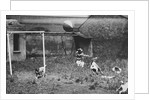 Dogs Playing Soccer by Anonymous