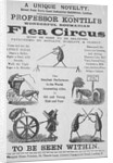 Advertisement For Flea Circus by Anonymous