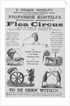 Advertisement For Flea Circus by Anonymous