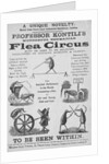 Advertisement For Flea Circus by Anonymous