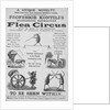 Advertisement For Flea Circus by Anonymous