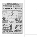 Advertisement For Flea Circus by Anonymous