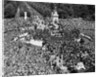 VE Day Revelers Outside Buckingham Palace by Anonymous