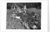 VE Day Revelers Outside Buckingham Palace by Anonymous
