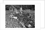 VE Day Revelers Outside Buckingham Palace by Anonymous