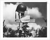 Grave of American Soldier by Anonymous