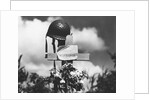 Grave of American Soldier by Anonymous