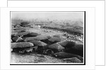 Thatched Buildings by Anonymous