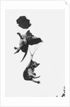 Parachuting Kittens by Anonymous