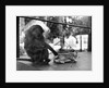 Baboon Pulls a Kitten's Tail by Anonymous