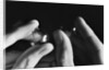 Pair of Contact Lenses by Anonymous