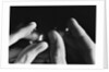 Pair of Contact Lenses by Anonymous