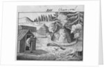 Engraving of a Charcoal Burner at Work by Anonymous