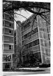 Apartment Buildings by Anonymous
