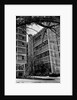 Apartment Buildings by Anonymous