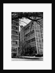 Apartment Buildings by Anonymous