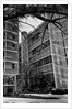 Apartment Buildings by Anonymous