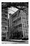 Apartment Buildings by Anonymous