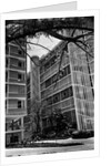 Apartment Buildings by Anonymous