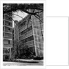 Apartment Buildings by Anonymous