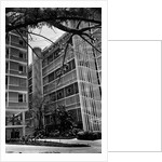 Apartment Buildings by Anonymous