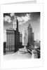 Chicago Skyscrapers by Anonymous