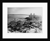 Aerial View of Havana by Anonymous
