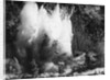 Explosion on the Waikato River by Anonymous