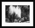 Explosion on the Waikato River by Anonymous